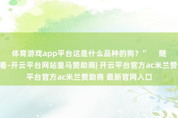 体育游戏app平台这是什么品种的狗？”     随后就一直盯着小猫看-开云平台网站皇马赞助商| 开云平台官方ac米兰赞助商 最新官网入口