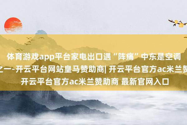 体育游戏app平台家电出口遇“阵痛”中东是空调出口的迫切增长点之一-开云平台网站皇马赞助商| 开云平台官方ac米兰赞助商 最新官网入口