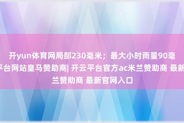 开yun体育网局部230毫米;最大小时雨量90毫米-开云平台网站皇马赞助商| 开云平台官方ac米兰赞助商 最新官网入口